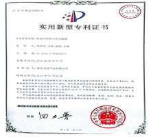 ���ٿɲ�ж���֧����